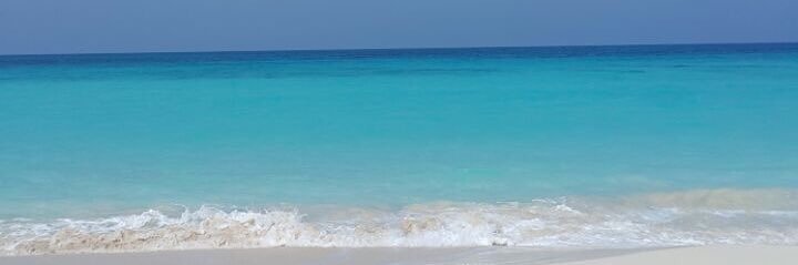 Rehab Bassam 🍉 banner