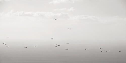 malaak_IB's profile banner image