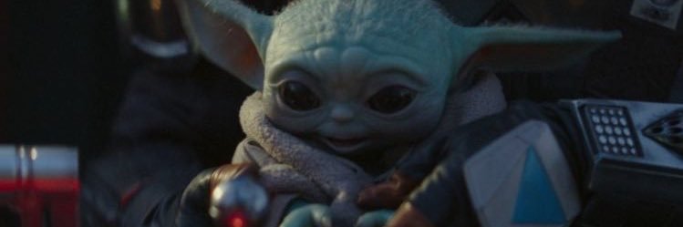 iStephen23's profile banner image