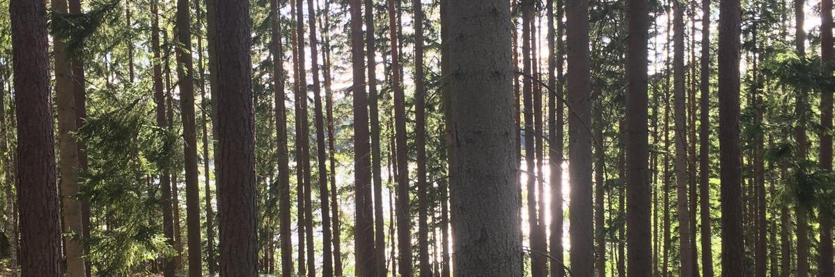 Conilr22's profile banner image