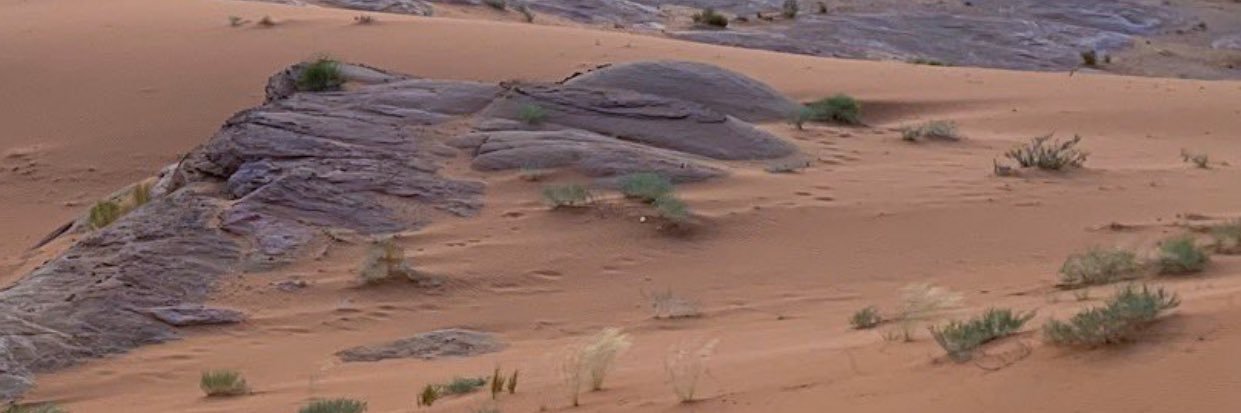 arab_najd's profile banner image
