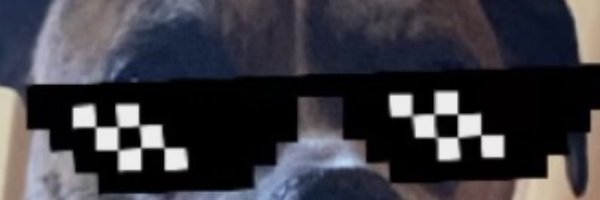 __md2020 Profile Banner