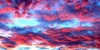 xavier ovando banner