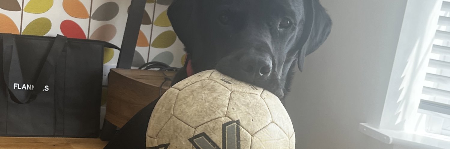 Busymomi's profile banner image