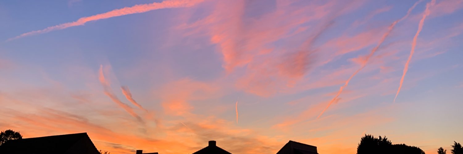 scheysnadia's profile banner image