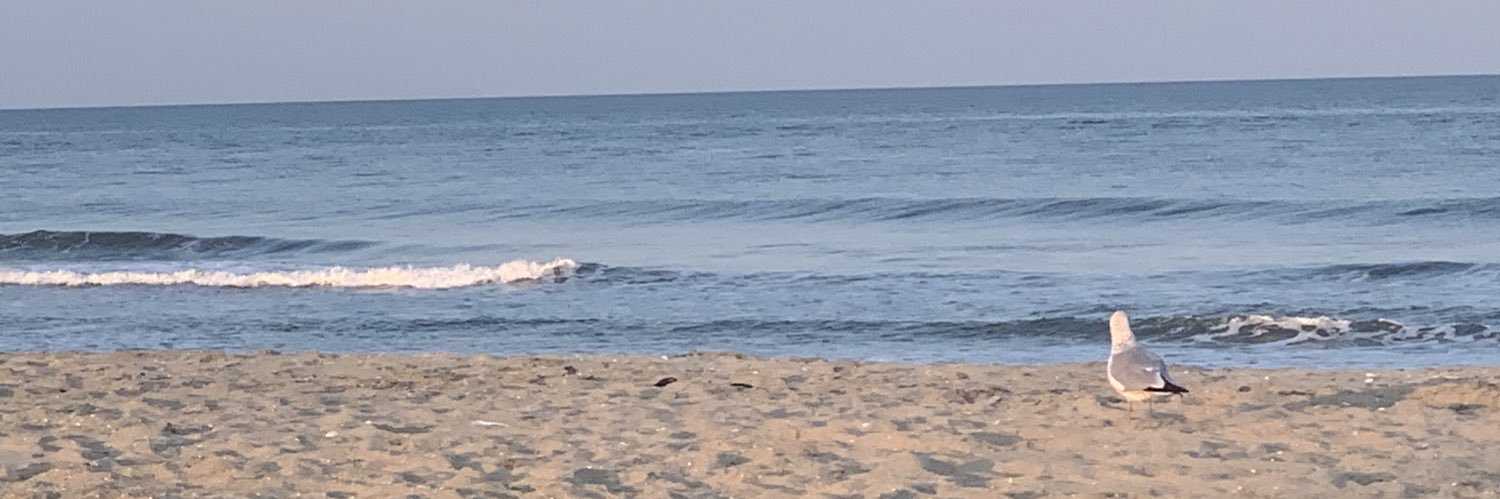 Bridgette Burtt banner