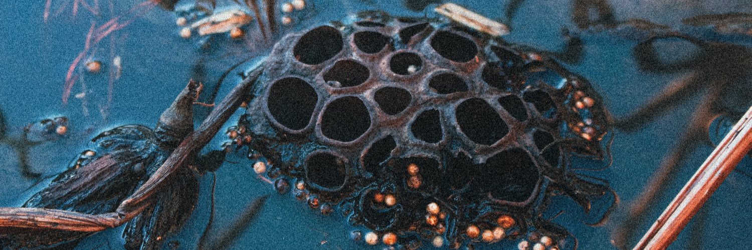 thunderflo_'s profile banner image