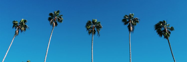 EthierNicole's profile banner image