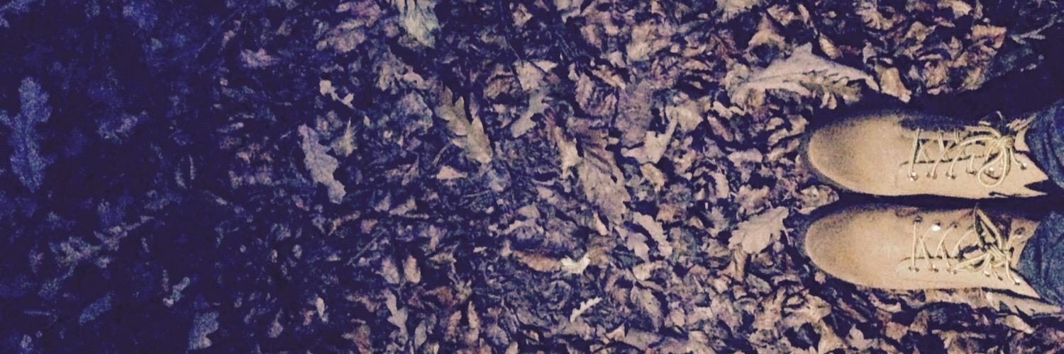 kwisseepoos's profile banner image
