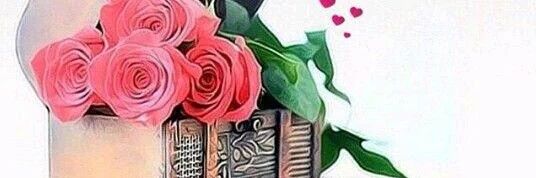 mkoplet's profile banner image