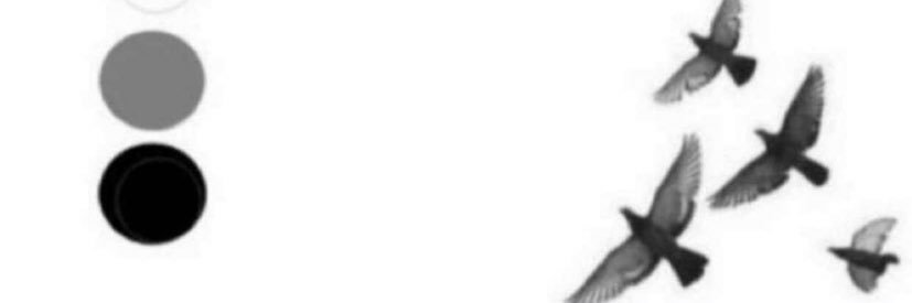 ♎️ banner
