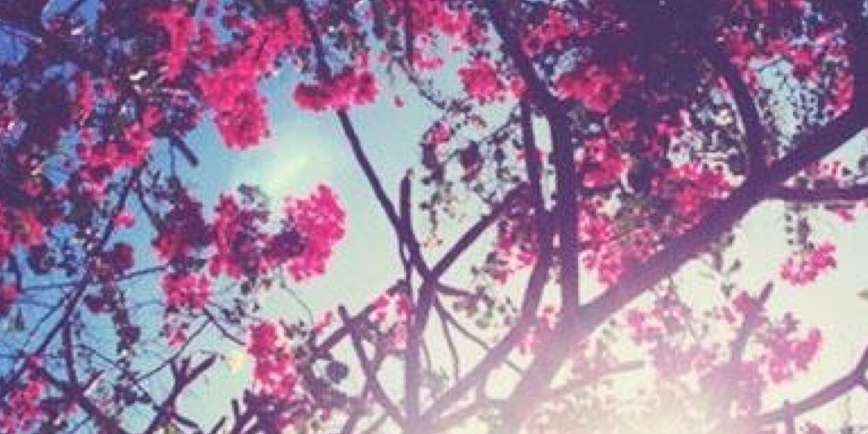 sonjamoertter's profile banner image