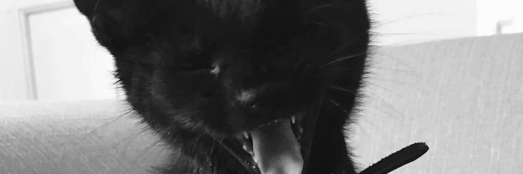 Phillipjackson_'s profile banner image