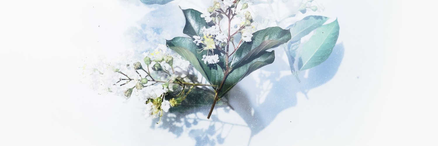 ikomui's profile banner image