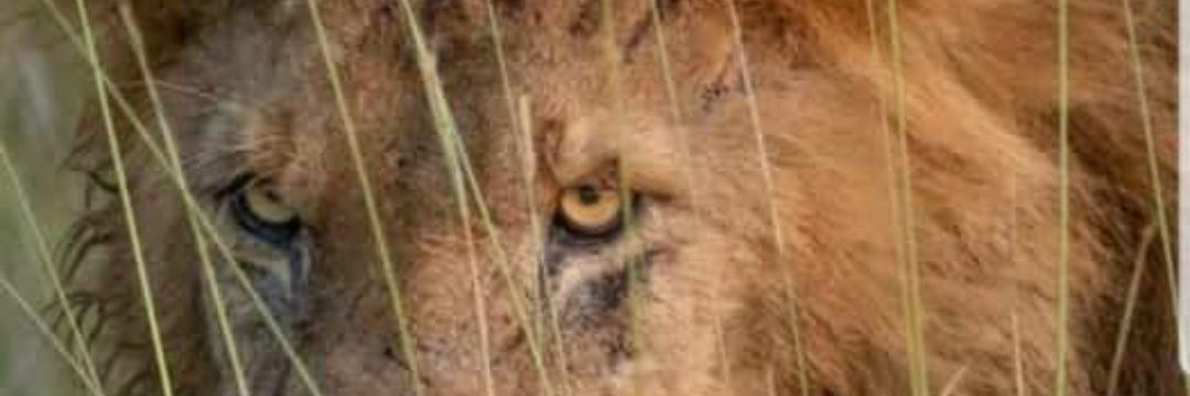 akanbiTime's profile banner image