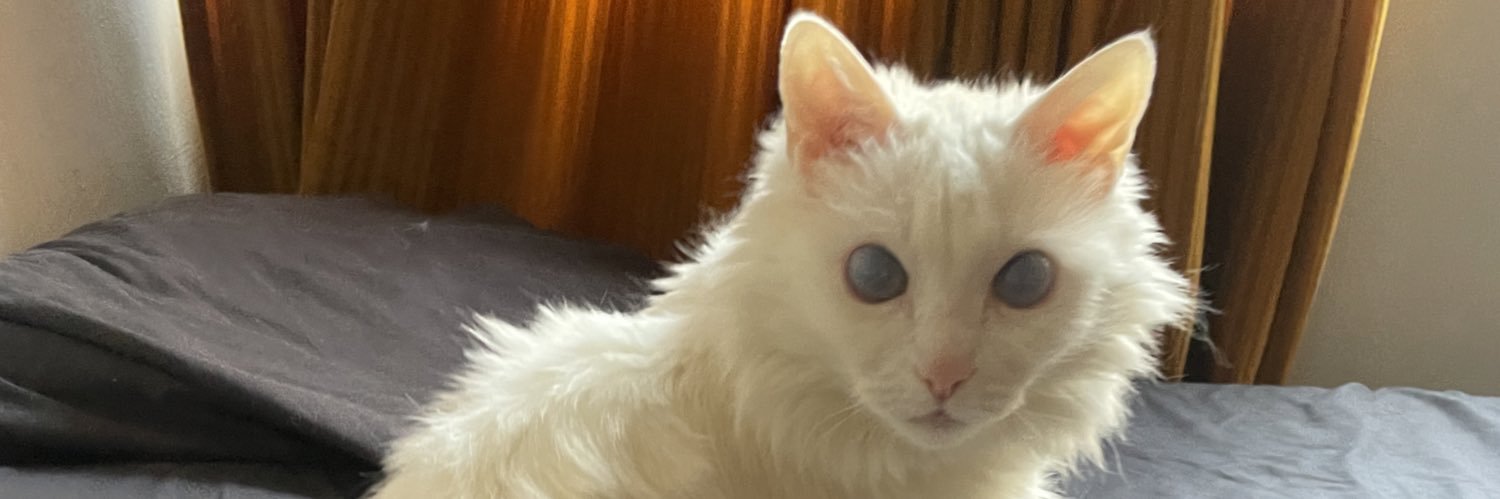 Gamaliel de Santiago banner