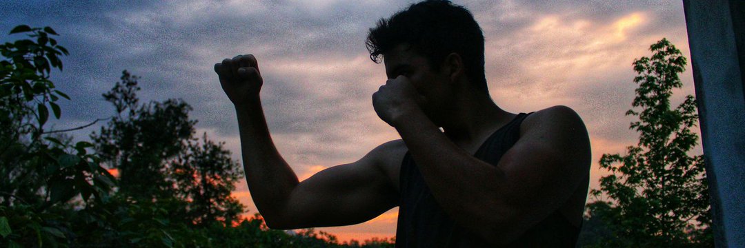vhugohp's profile banner image