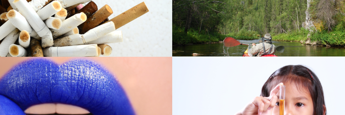 SustainCompass's profile banner image