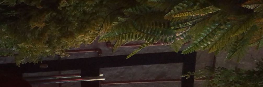 را banner