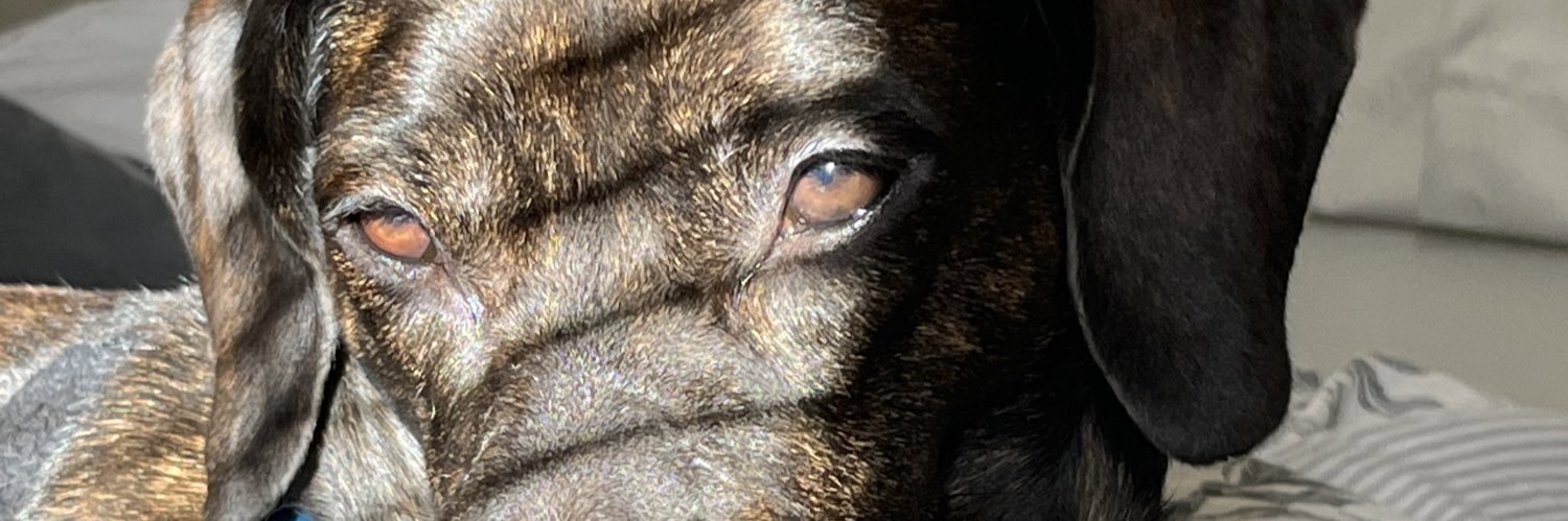 delongview's profile banner image