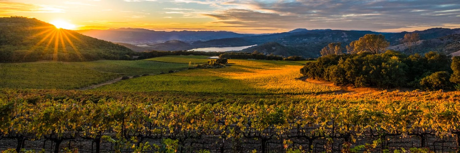 Winely's profile banner image