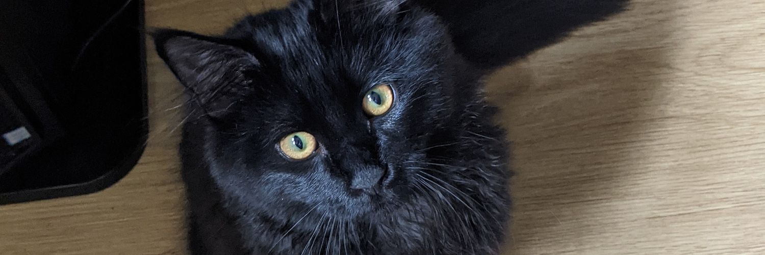 aworldsovicious's profile banner image