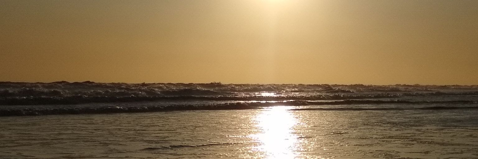 joaco2811's profile banner image