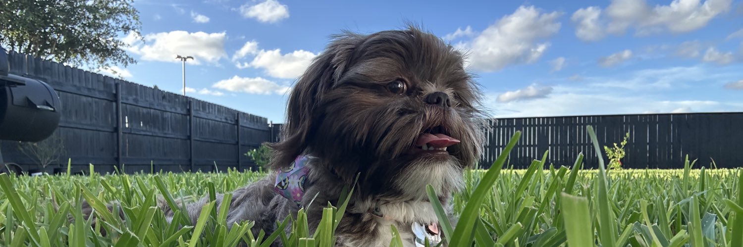Juliee132's profile banner image