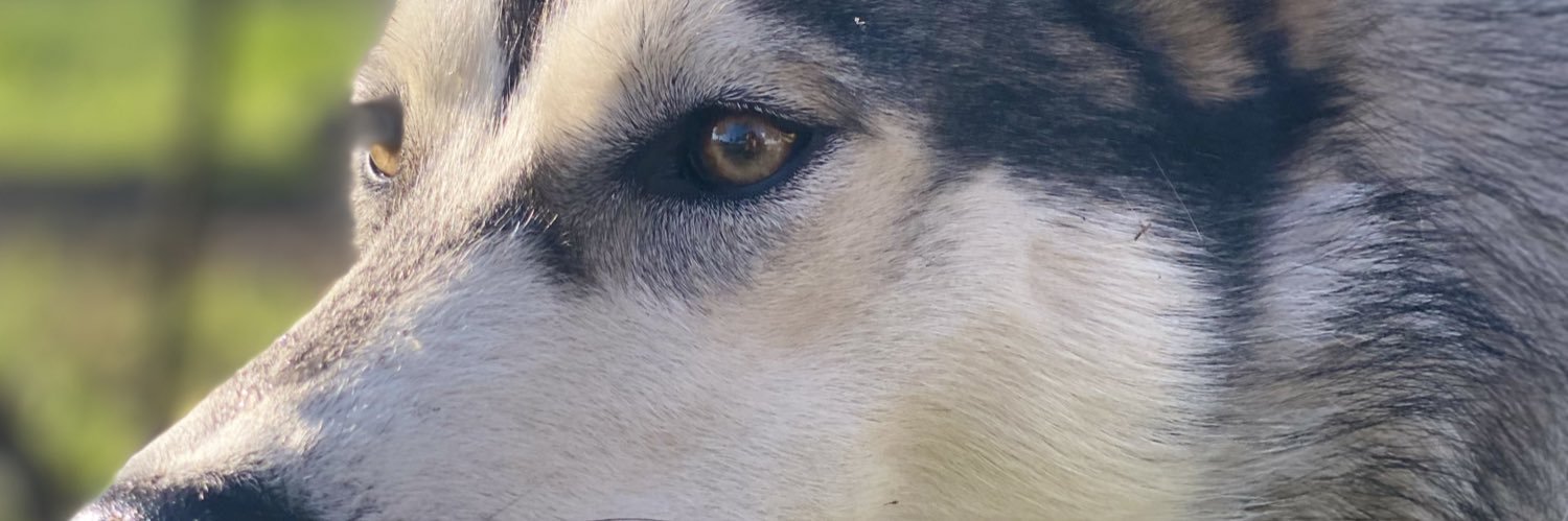fabarv's profile banner image