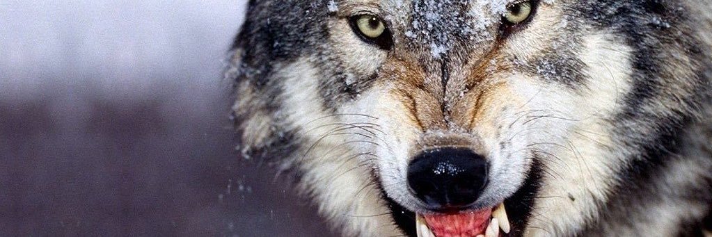 FasoLee's profile banner image