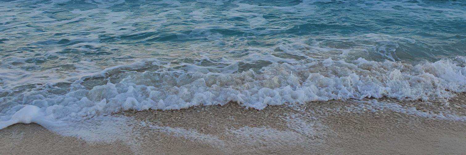 Jessmont3's profile banner image