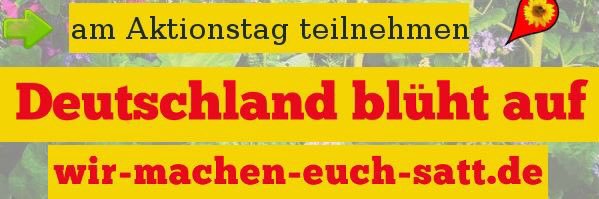 WmEuchsatt's profile banner image