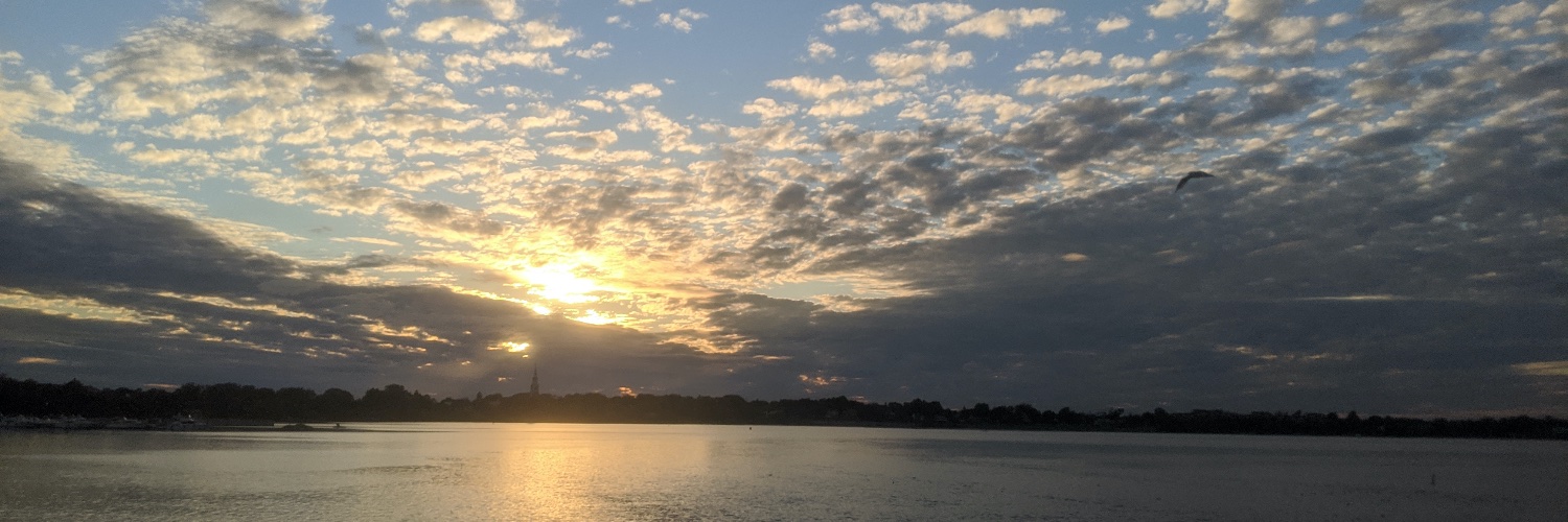 Donald Dagenais (8$) banner