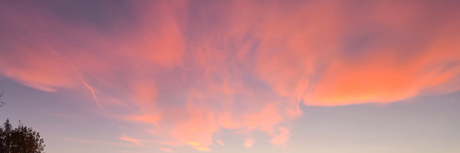 ohnonotcody's profile banner image
