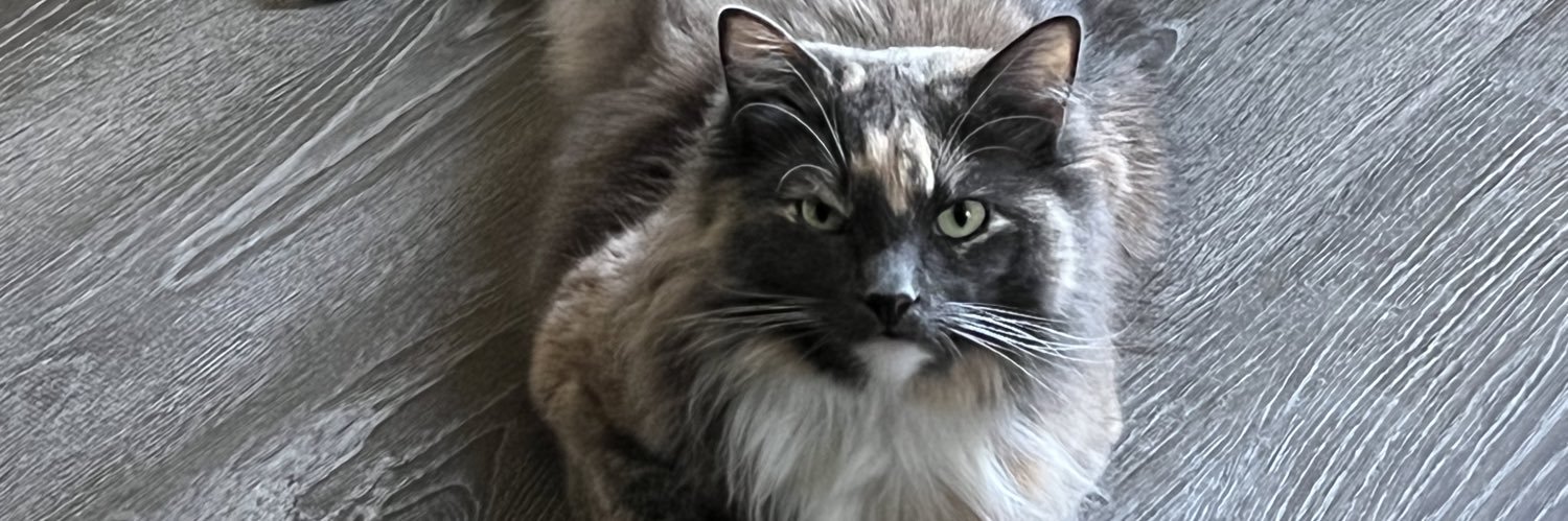 mooretaylor1997's profile banner image