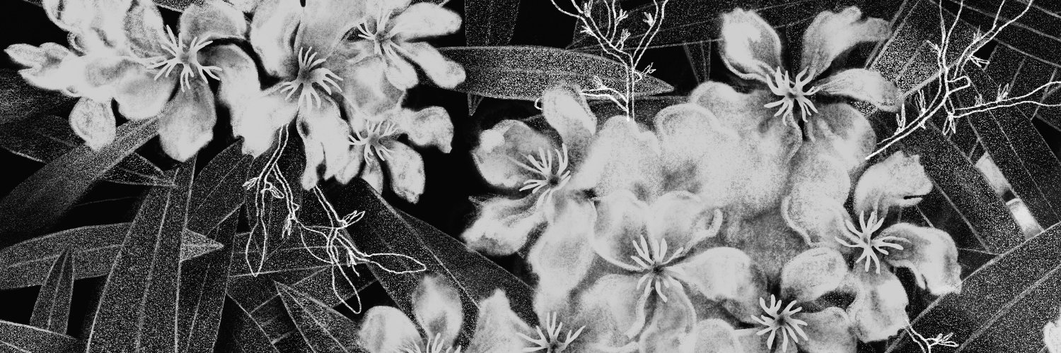 eliotburk's profile banner image