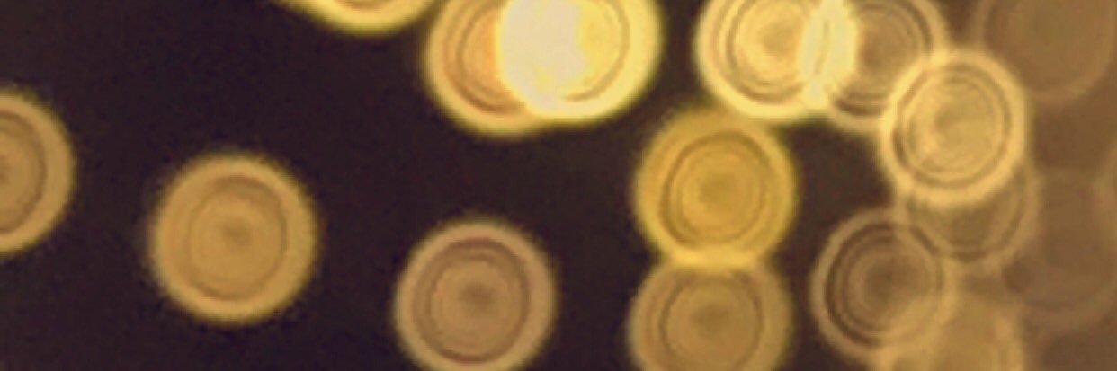 manobader's profile banner image