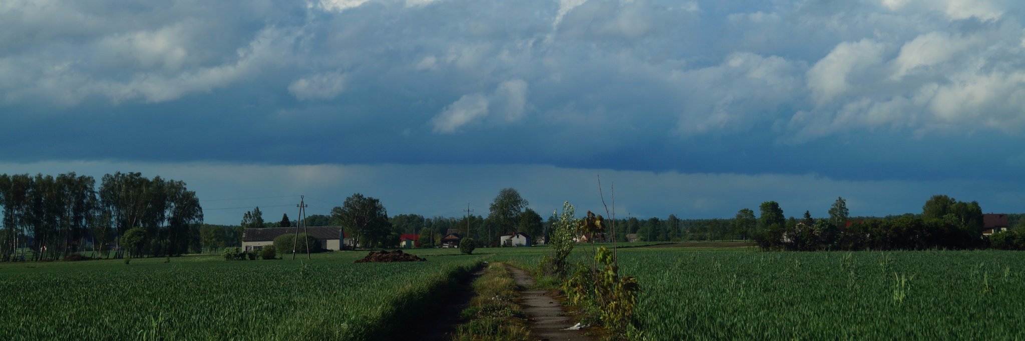 Krzysztof Bieńkowski banner