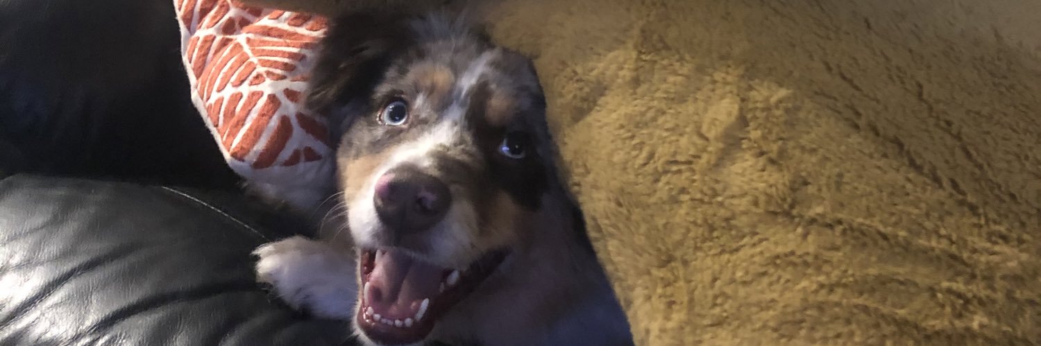kotypitz69's profile banner image