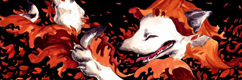 izlesou's profile banner image