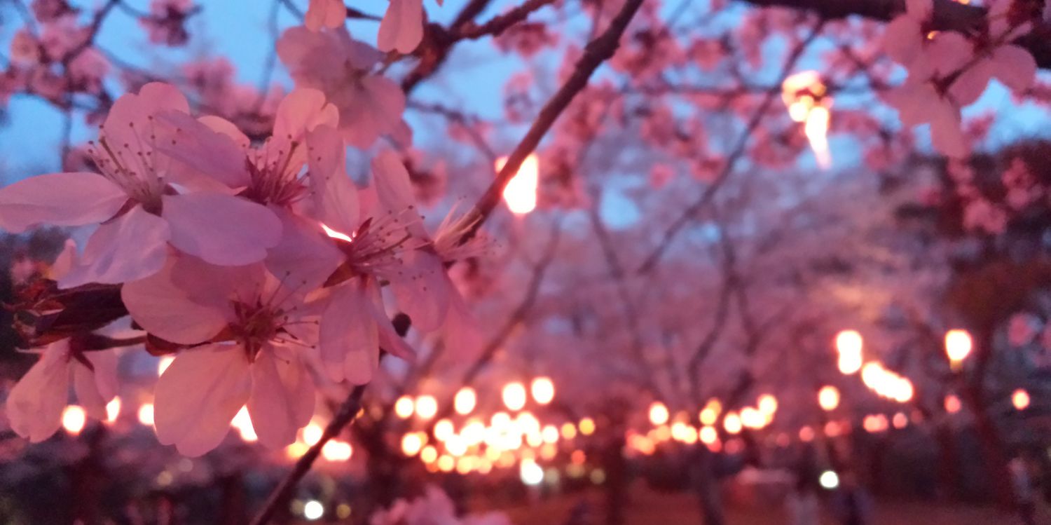 SAIT_623's profile banner image