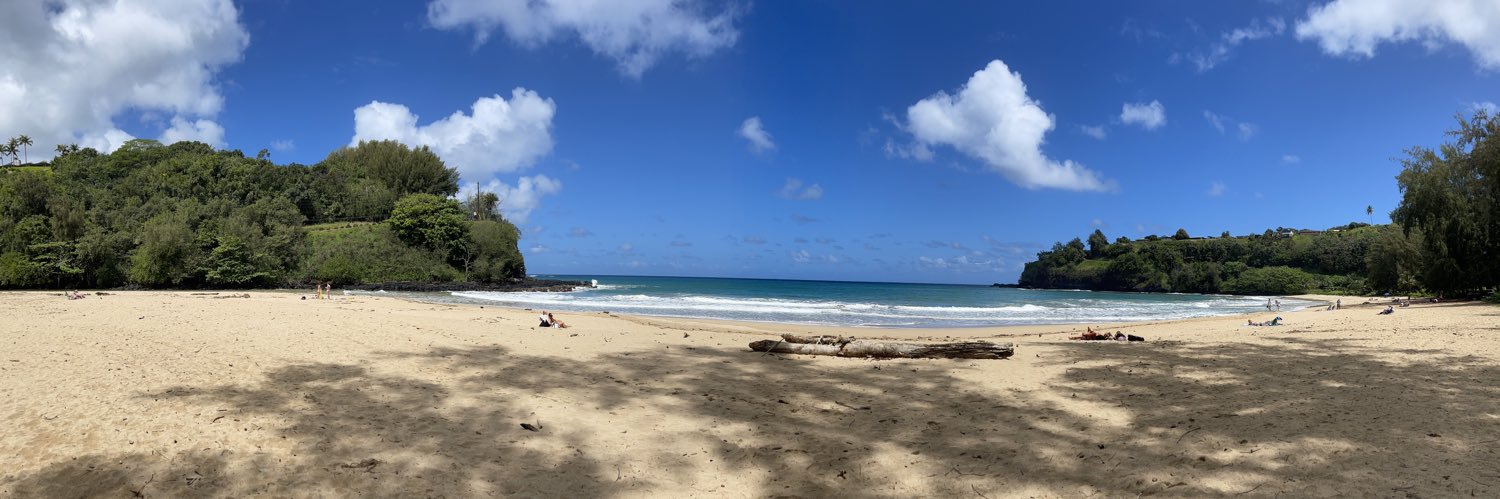 mitchellwolfe banner