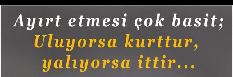 hakankolsuzoglu's profile banner image