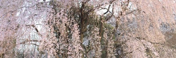 tomoko3275 Profile Banner