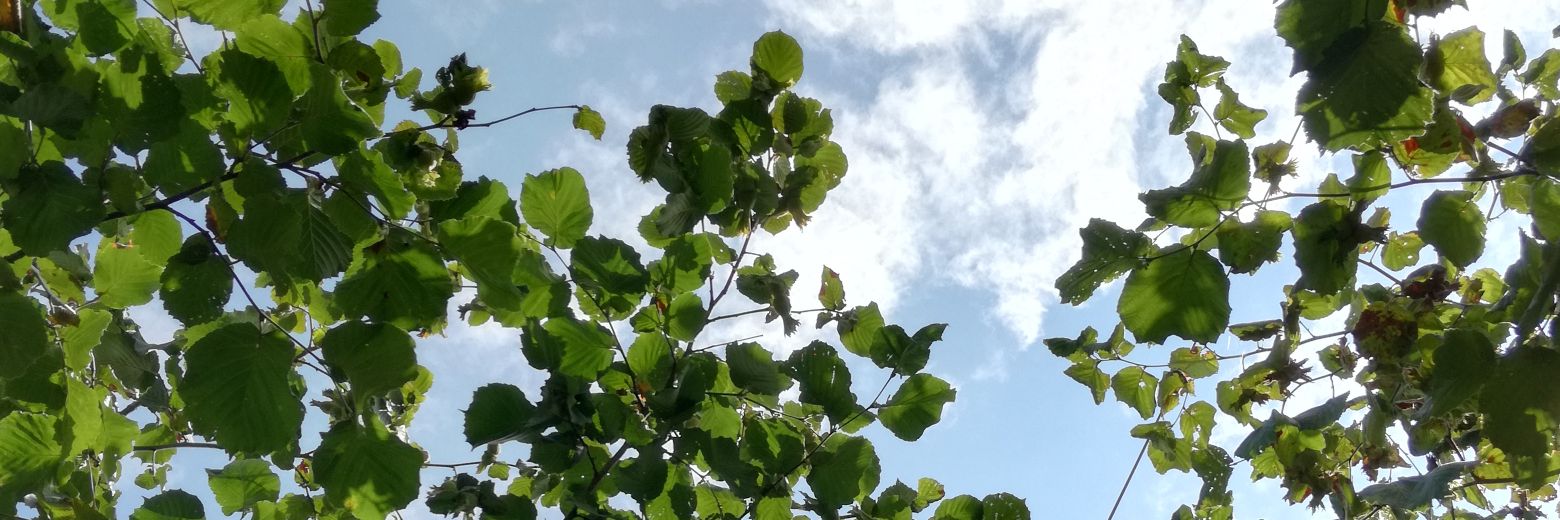 selimm____'s profile banner image