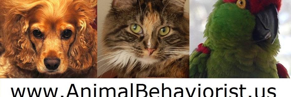 Frania Shelley-Grielen, MA, MS banner