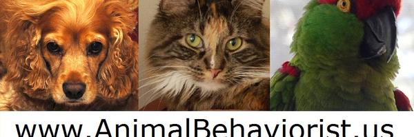 animalsbehaving Profile Banner