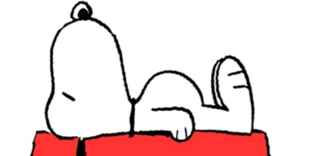 alperbasol's profile banner image