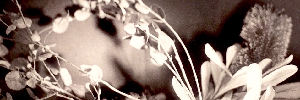 movatweet's profile banner image
