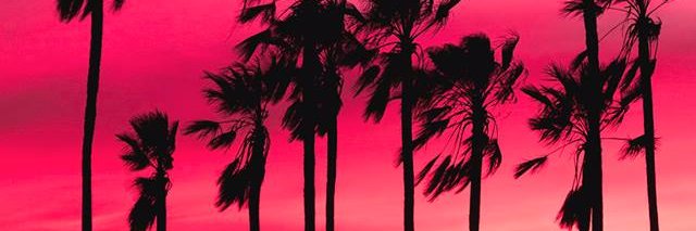 ArtisaSurvive's profile banner image